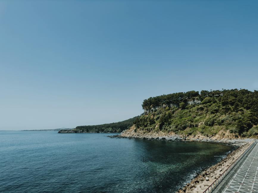 제주 리빙랩 삼도2동 신청