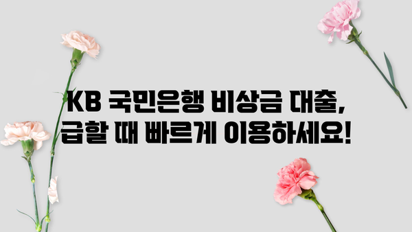 KB 국민은행 비상금 대출, 비대면 무서류 신청으로 빠르고 간편하게! | 비상금 대출 조건, 필요서류, 신청 방법