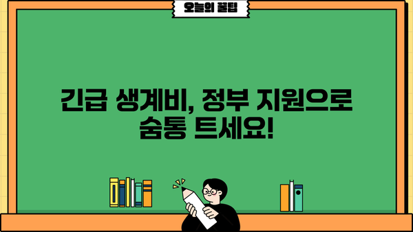 긴급한 생계비 마련, 정부지원 소액생계비대출로 해결하세요! | 한도, 금리, 조건, 신청방법 완벽 가이드