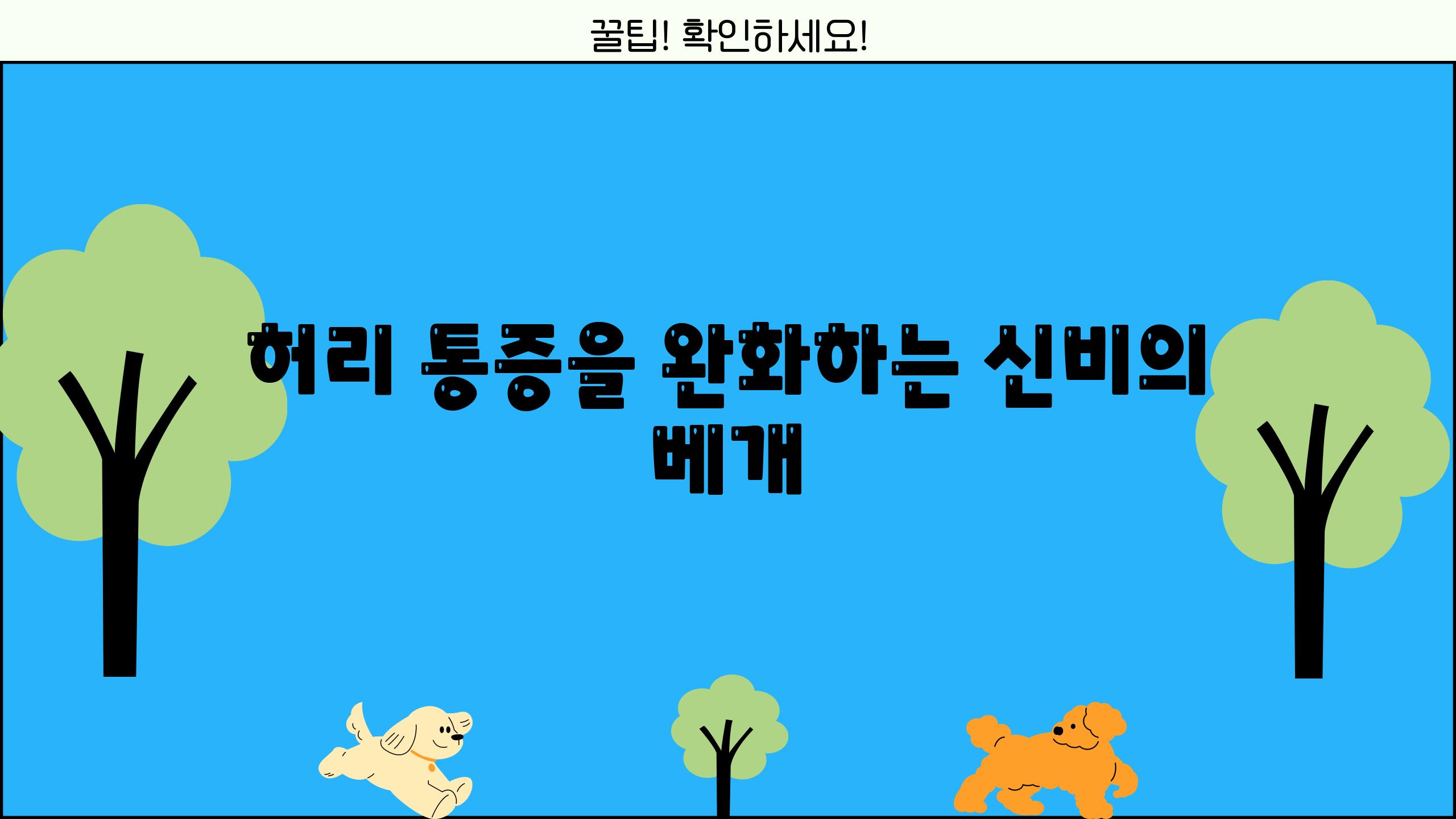 허리 통증을 완화하는 신비의 베개