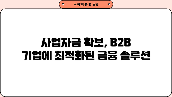 B2B 기업을 위한 맞춤형 대출 가이드 | 사업자금, 금융, 성장 전략