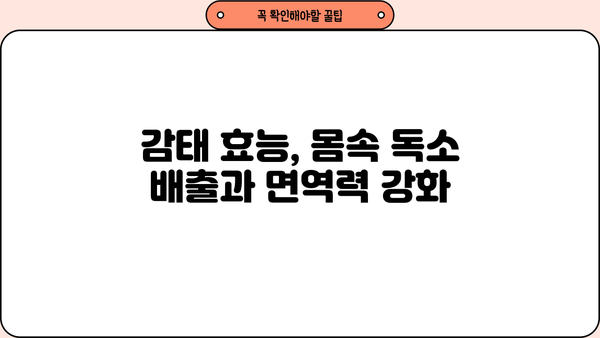 감태 효능| 당독소를 막는 폴리페놀 파워 | 해독 식품, 먹는 법, 건강 효과