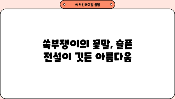 쑥부쟁이 효능과 꽃말, 까실쑥부쟁이 비교 | 아름다움과 약효, 전설까지 | 가을 야생화, 쑥부쟁이 효능, 까실쑥부쟁이 차이
