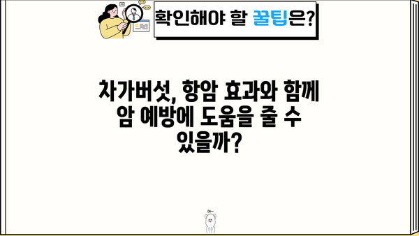 차가버섯 효능, 분말 & 차, 부작용까지 완벽 정리 | 건강, 면역, 항암 효과, 섭취 방법, 주의 사항
