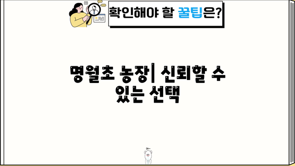 당뇨 관리에 도움되는 명월초| 효능, 재배, 농장 정보 | 당뇨,  혈당,  혈압,  면역력,  건강