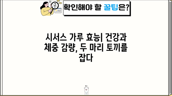 시서스 가루 효능 & 다이어트 효과| 먹는 법, 복용법, 부작용 총정리 | 시서스, 건강, 체중 감량