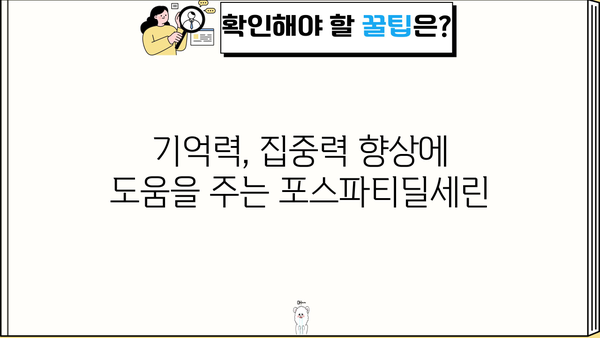 포스파티딜세린 뇌영양제 완벽 가이드| 효능, 추천 제품, 가격, 부작용까지 | 건강, 기억력, 집중력, 두뇌 건강