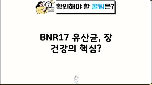 BNR17 유산균 효능 완벽 분석| 비에날씬 유산균 비에날 17 추천 & 부작용까지 | 유산균, 장 건강, 비에날씬, BNR17