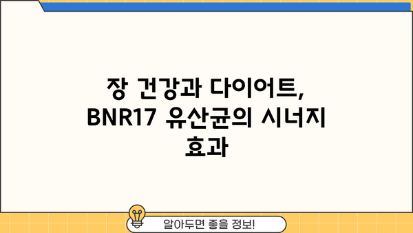 BNR17 유산균 다이어트 효과 높이는 유산균 추천 | BNR17, 유산균 다이어트, 체중 감량, 장 건강