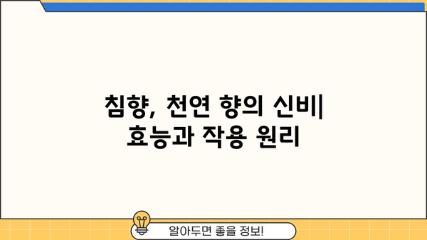 침향의 모든 것| 광동 침향환 효능, 가격, 부작용 상세 분석 | 침향, 광동, 건강, 효능, 부작용, 가격