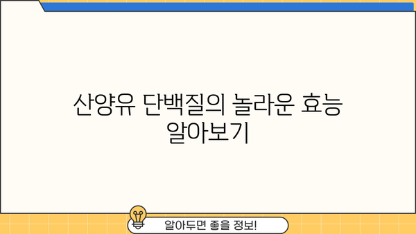 산양유 단백질 효과 & 효능 | 섭취 추천 및 부작용 정보