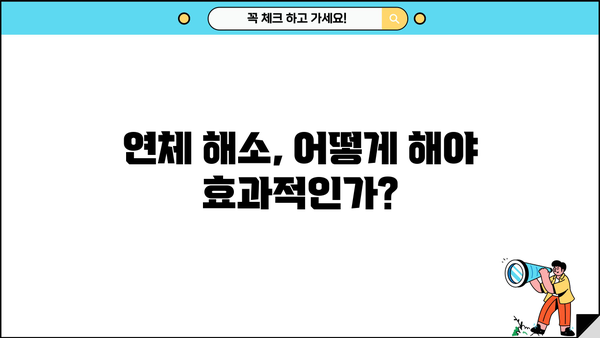 대출 연체 기록, 이렇게 관리하세요| 3가지 해결 전략 | 신용등급, 연체 해소, 금융 정보