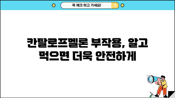 칸탈로프멜론의 놀라운 효능| 섭취부터 추출물, 부작용까지 | 칸탈로프멜론 효능, 칸탈로프멜론 추출물, 칸탈로프멜론 부작용, SOD 효능, 건강 정보