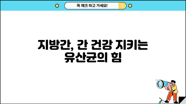 지방간 개선에 도움되는 간 유산균 영양제 추천 | 지방간, 건강, 유산균, 영양제, 추천