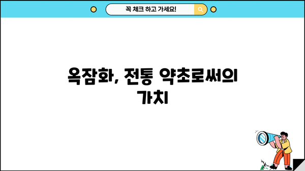 옥잠화 효능 탐구| 옥비녀꽃 꽃말과 약초 정보 | 옥잠화, 옥비녀꽃, 꽃말, 약초, 효능, 재배