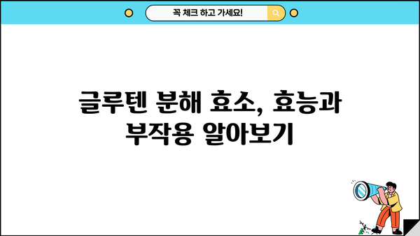 글루텐 분해 효소| 효능, 글루텐 프리 뜻, 소화 효소 부작용 완벽 가이드 | 글루텐 민감성, 소화 개선, 건강 정보
