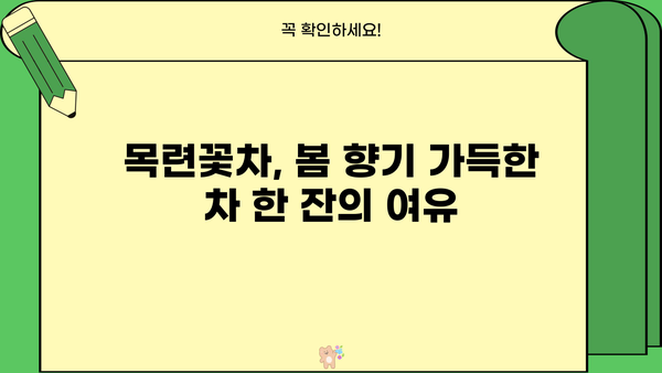 목련꽃차 효능과 아름다운 꽃말| 봄 향기 가득한 차 한 잔의 매력 | 목련차, 목련꽃, 차 효능, 꽃말, 봄