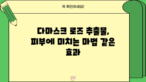 다마스크 장미꿀 효능 & 추천 | 다마스크 로즈 추출물 부작용 완벽 정리