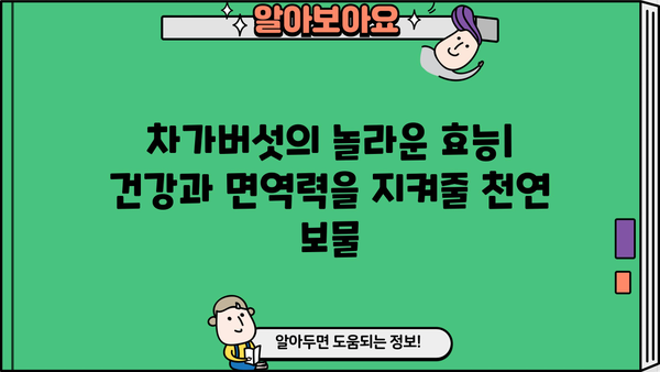 차가버섯 효능, 분말 & 차, 부작용까지 완벽 정리 | 건강, 면역, 항암 효과, 섭취 방법, 주의 사항