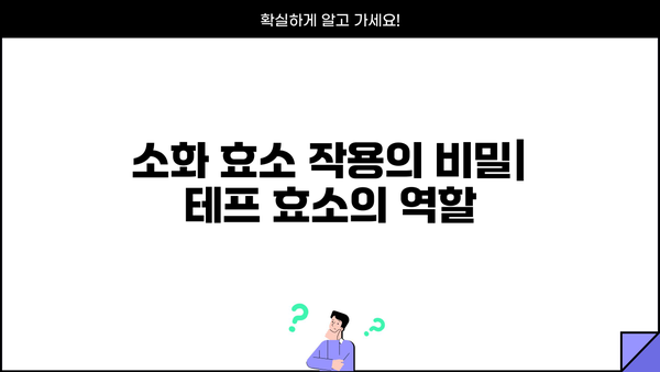 테프 효소의 효능과 소화 효소 작용, 부작용까지| 건강 정보 완벽 가이드 | 테프, 효소, 소화, 부작용, 건강