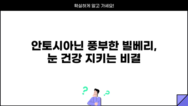 빌베리 효능 분말과 루테인, 시너지 효과를 위한 완벽한 조합 | 눈 건강, 안토시아닌, 블루베리, 건강기능식품