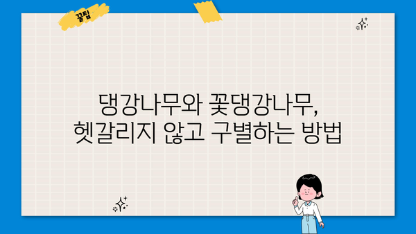 댕강나무와 꽃댕강나무| 효능과 꽃말, 차이점까지 알아보세요! | 댕강나무, 꽃댕강나무, 효능, 꽃말, 차이점