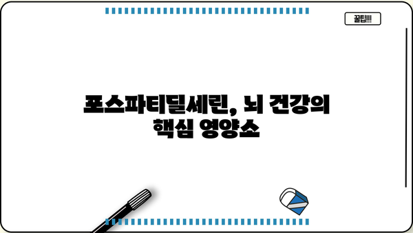 포스파티딜세린 분말| 효능, 효과, 뇌영양제 추천 & 부작용 완벽 가이드 | 건강, 두뇌 기능, 기억력, 집중력