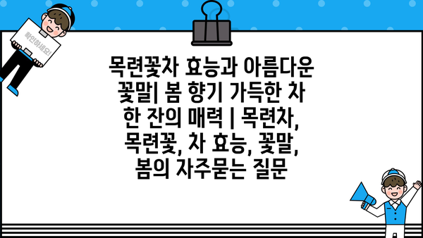 목련꽃차 효능과 아름다운 꽃말| 봄 향기 가득한 차 한 잔의 매력 | 목련차, 목련꽃, 차 효능, 꽃말, 봄
