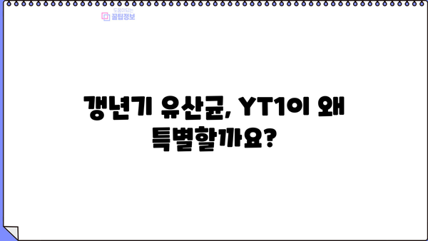 여성 갱년기 증상 완화에 도움이 되는 유산균 YT1 효능 | 갱년기 유산균, 여성 건강, 면역력 강화