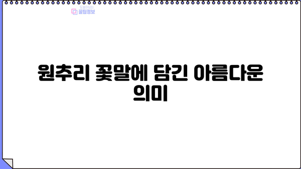 원추리 효능, 먹는 법, 꽃말까지! 근심 걱정 잊게 하는 원추리의 모든 것 | 원추리, 효능, 먹는 방법, 꽃말, 건강, 차, 약효, 재배