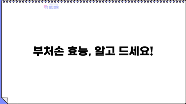 혈관 건강을 위한 특급 처방! 부처손의 놀라운 효능 | 혈관 건강, 부처손 효능, 혈액순환 개선, 건강 식단