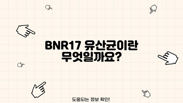 BNR17 유산균| 비에날씬 효과, 효능, 부작용 총정리 | BNR17, 유산균, 다이어트, 건강