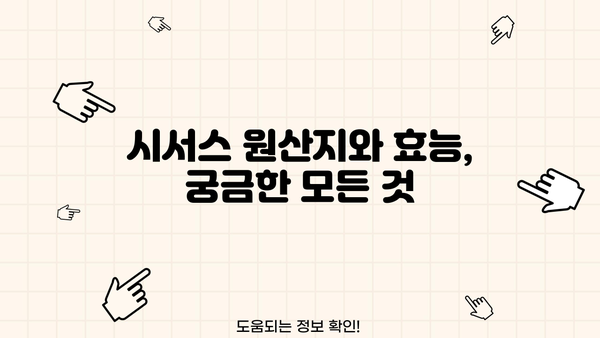 시서스 효능, 가루, 원산지, 다이어트, 부작용 완벽 정리 | 건강, 다이어트, 영양, 식품