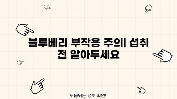 블루베리 효능, 칼로리부터 보관법 & 부작용까지 완벽 정리 | 건강, 다이어트, 슈퍼푸드
