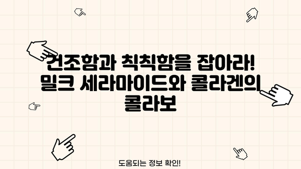 밀크 세라마이드와 콜라겐의 환상적인 만남| 피부 탄력과 보습의 비밀 | 밀크 세라마이드, 콜라겐, 피부 개선, 보습, 탄력
