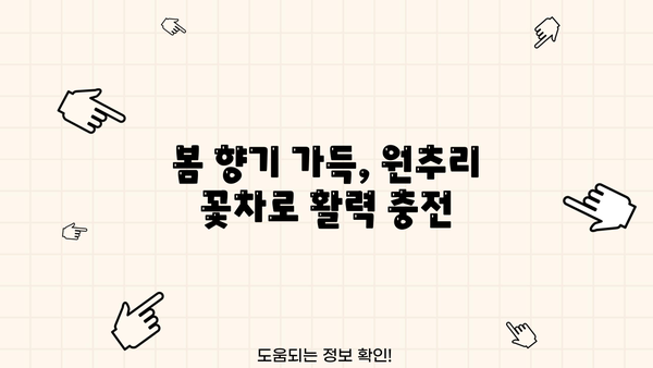 원추리 효능, 먹는 법, 꽃말까지! 근심 걱정 잊게 하는 원추리의 모든 것 | 원추리, 효능, 먹는 방법, 꽃말, 건강, 차, 약효, 재배