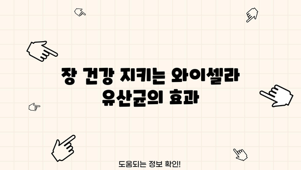 면역력 강화에 도움되는 와이셀라 유산균| 효능, NK세포 활성화, 부작용까지 | 면역, 장 건강, 건강 기능성