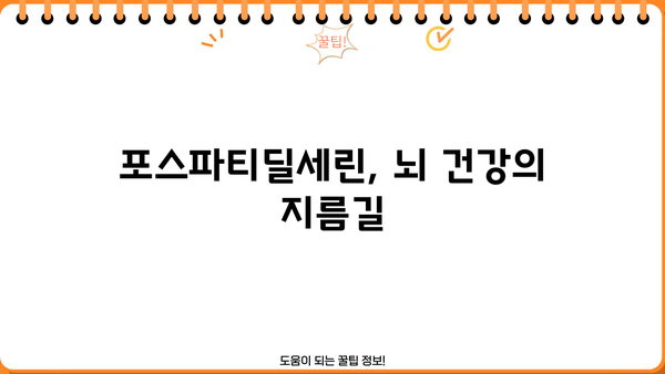 포스파티딜세린 효능| 뇌 건강 위한 영양제 추천 &  섭취 가이드 |  기억력 개선, 집중력 향상,  뇌 기능 강화