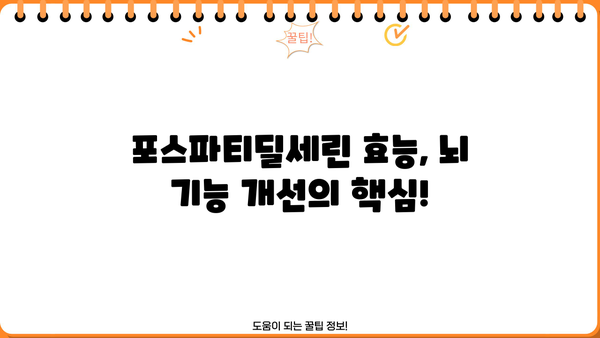 포스파티딜세린 효능| 뇌 건강 위한 영양제 추천 &  섭취 가이드 |  기억력 개선, 집중력 향상,  뇌 기능 강화