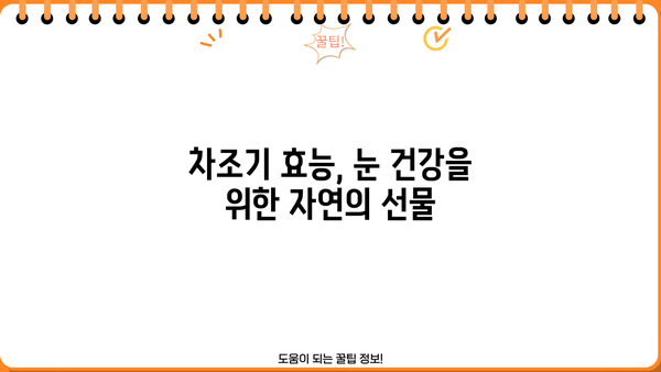 눈 건강 지키는 비법! 차즈기, 차조기의 놀라운 효능과 먹는 법 | 눈 건강, 차즈기 추출물, 자소엽 효능, 눈 건강 음식