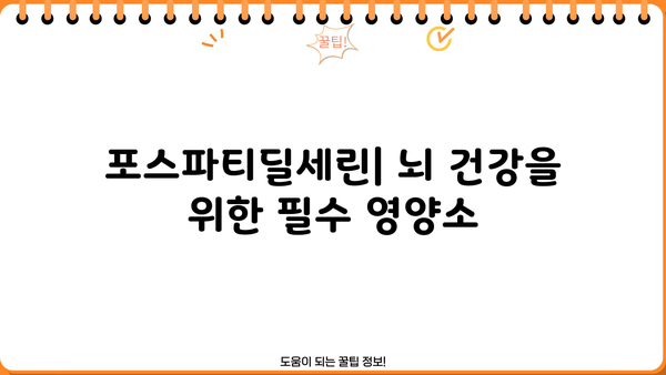 포스파티딜세린 효능, PS 분말 추천 & 부작용 완벽 정리 | 뇌 영양제, 기억력 개선, 집중력 향상