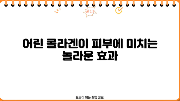 어린 콜라겐, 효능과 추천, 부작용 완벽 정리 | 피부 탄력, 건강, 섭취 가이드