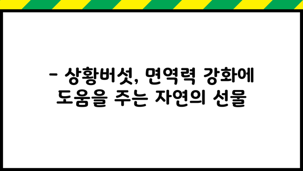 상황버섯 효능과 분말 섭취 방법| 건강 지키는 특별한 비법 | 상황버섯, 분말, 섭취, 효능, 건강