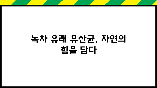 녹차 유산균의 놀라운 효능| 녹차 유래 유산균 & 식물성 유산균 추천 | 장 건강, 면역력, 다이어트, 녹차 효능
