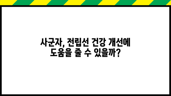 전립선 건강, 사군자로 지키세요! 휴온스 전립선 사군자 효능, 가격, 부작용 총정리 | 전립선 비대증, 전립선염, 전립선암, 건강 정보