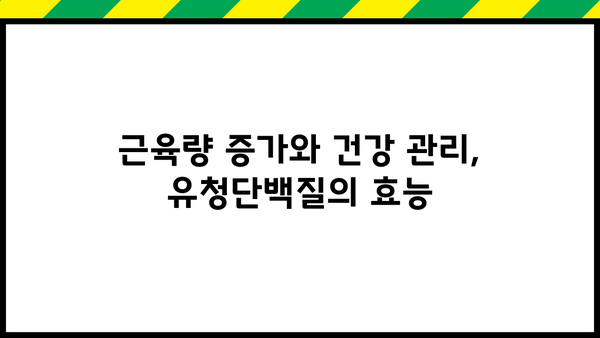 근감소증 예방 및 개선에 효과적인 유청단백질, 섭취 가이드 | 근감소증, 단백질 보충, 건강 관리, 운동