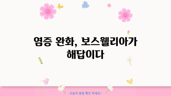 보스웰리아 효능, 가루 추천 & 부작용 총정리 | 관절 건강, 염증 완화, 보스웰리아 추천