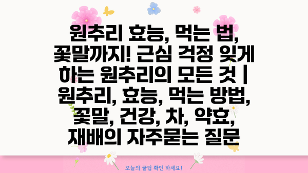원추리 효능, 먹는 법, 꽃말까지! 근심 걱정 잊게 하는 원추리의 모든 것 | 원추리, 효능, 먹는 방법, 꽃말, 건강, 차, 약효, 재배