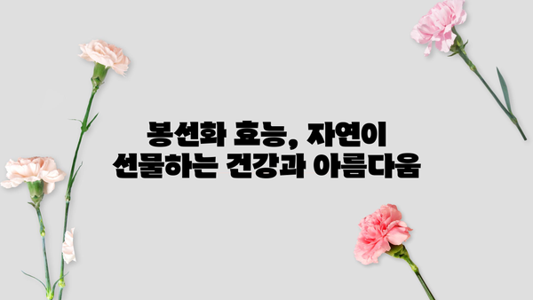 흰 봉숭아의 놀라운 효능과 아름다움| 봉선화 꽃의 효능, 꽃말, 물들이기 | 봉숭아, 봉선화 효능, 봉선화 꽃말, 봉숭아 물들이기, 민간요법