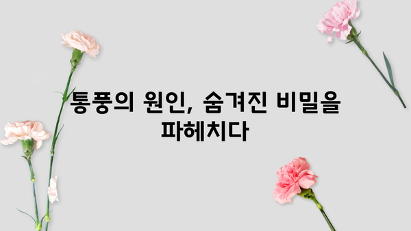 통풍, 초기 증상부터 진행 단계까지 완벽 분석 | 통풍 원인, 치료, 예방